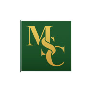 A screen capture of Mahoney, Silvermann and Cross's website